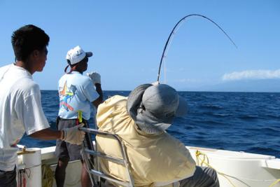 u37/fsl/medium/24306384.Panamasailfish.jpg