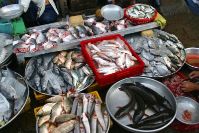 seafood market Saigon