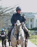 guarding the White House (I)