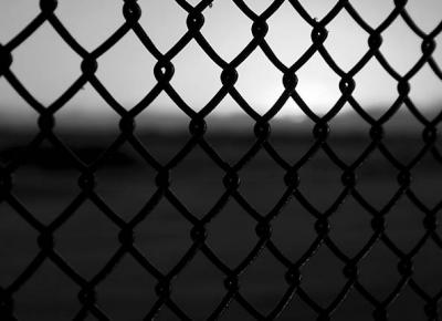 the fence