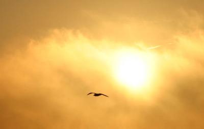 morning flight