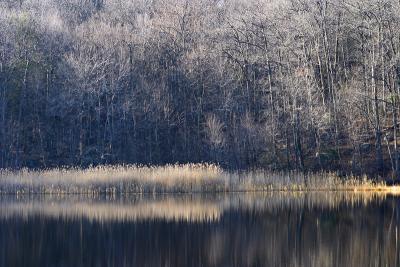 CRW_2852.jpg