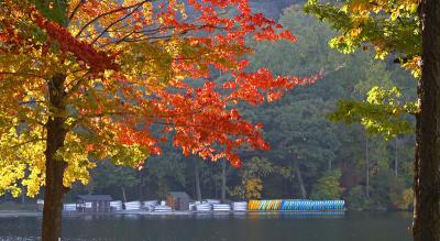 CRW_2462.jpg