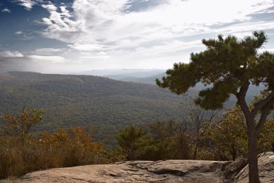 CRW_2432.jpg