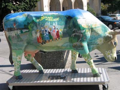 DAISY - THE SOUND OF MUSIC COW 1