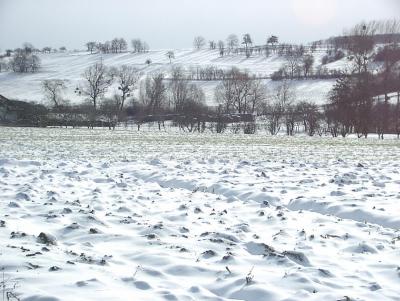 winter valley1.JPG