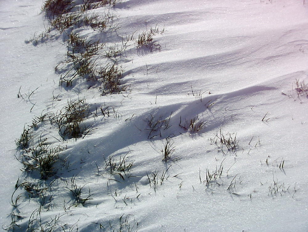 wind-drift3.JPG