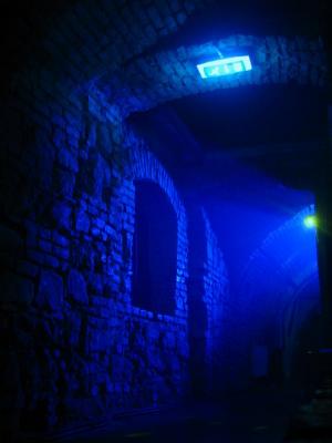 IMG_8870.JPG
