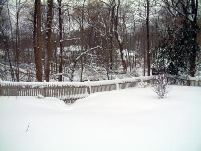 Our Back Yard.  Oh! Ohh! ..... The snow is pushing the fance back!