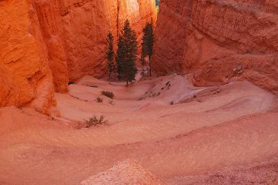The Navajo Trail