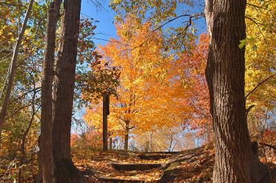 Frontenac State Park