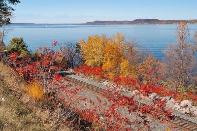 Sumac Lined Train Tracks