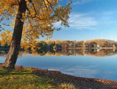 Morning Reflection