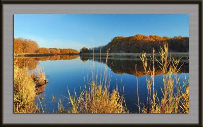 Rum River Reflection