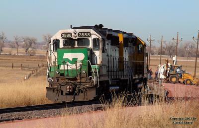 Longmont Local At Highland, CO