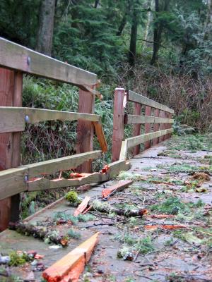 Poo Poo Point Trail