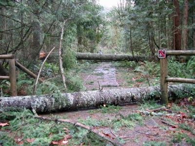 West Tiger 3 - Trailhead