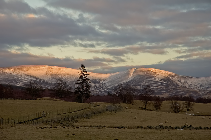 Glen Clova.