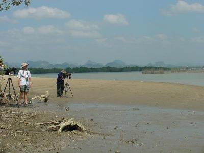 birdwatchers on the beach at Krabi