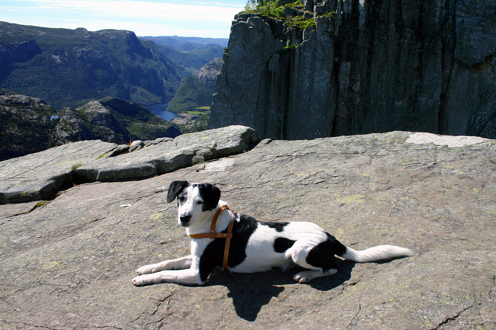 Preikestolen