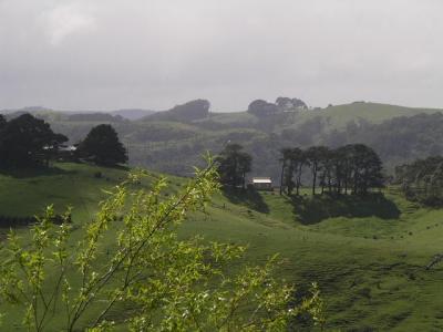 Changing landscape on the Great Ocean Rd.JPG