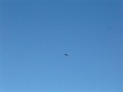 DSCF0002 (Medium).JPG