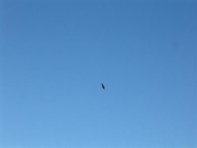 DSCF0003 (Medium).JPG