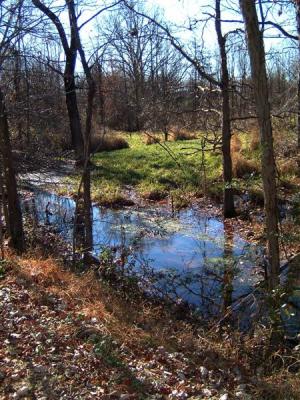 DSCF0005 (Medium).JPG