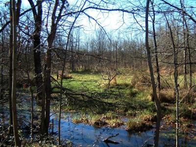 DSCF0007 (Medium).JPG
