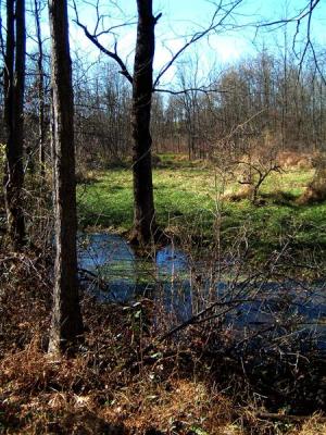 DSCF0008& (Medium).JPG