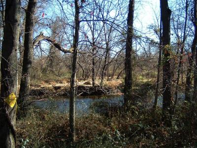 DSCF0009 (Medium).JPG