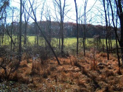 DSCF0011 (Medium).JPG