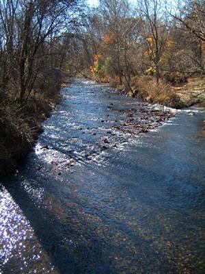 DSCF0012 (Medium).JPG