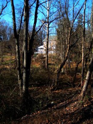 DSCF0013 (Medium).JPG