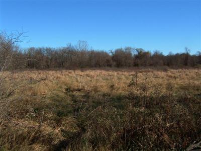 DSCF0021 (Medium).JPG