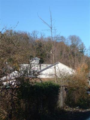 DSCF0024 (Medium).JPG