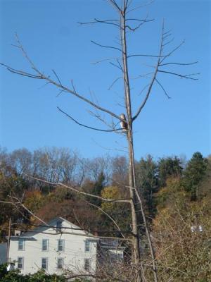 DSCF0026 (Medium).JPG