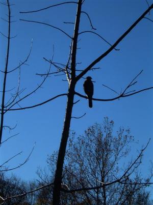 DSCF0028 (Medium).JPG