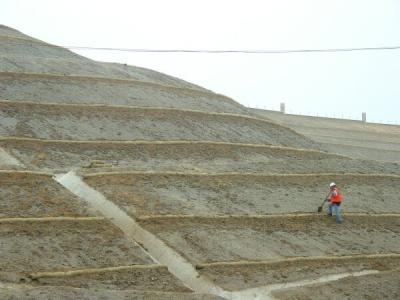 u37/hjew/medium/34921036.big_dig.jpg