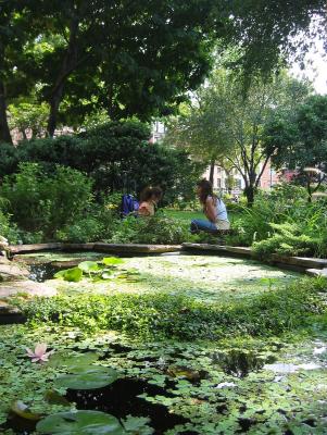 Summer