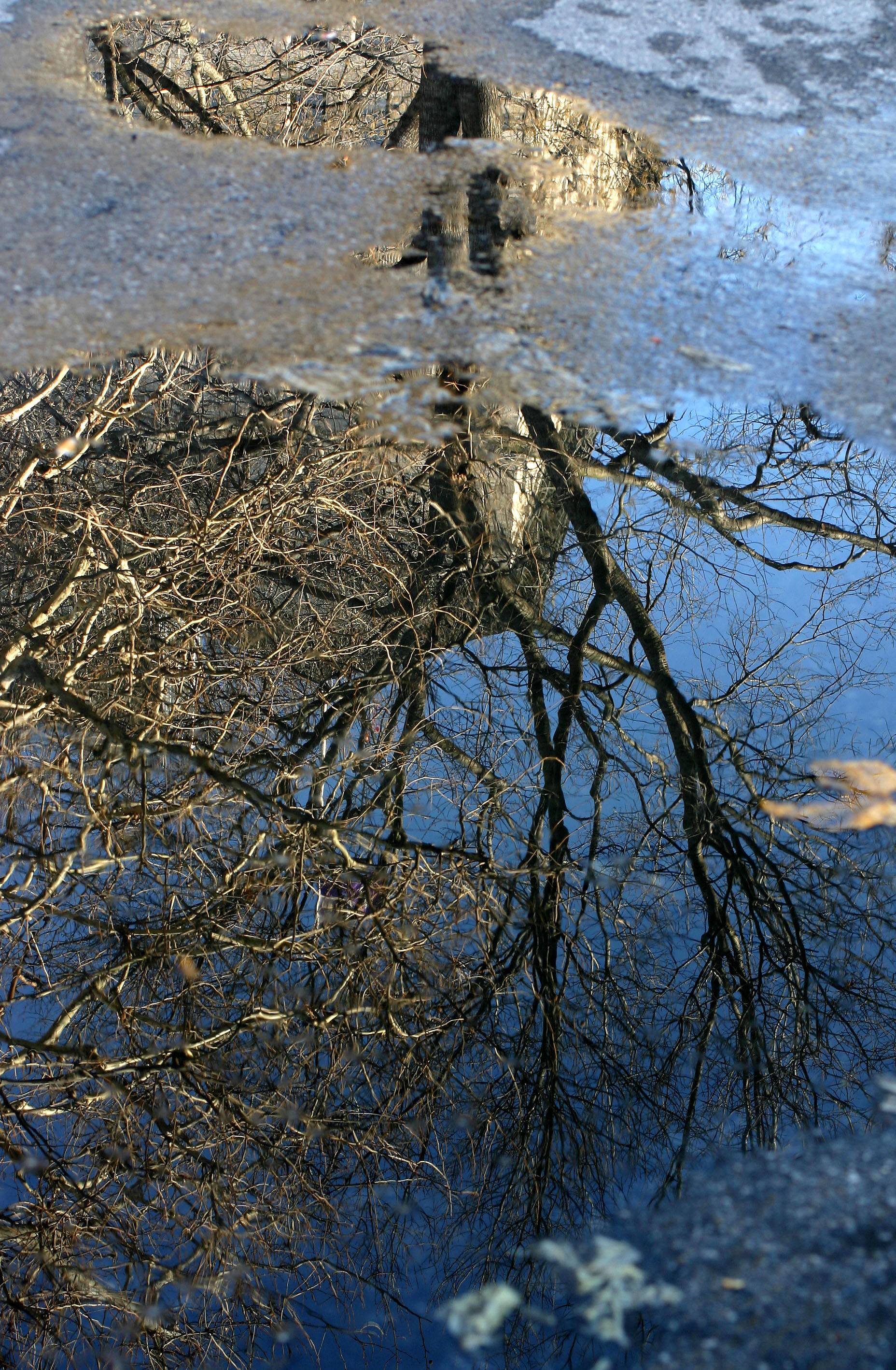 Walkway Reflections