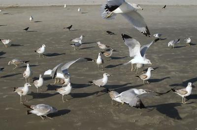 sunset_beach_nc