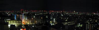 Japan night.jpg