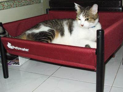 my new bed