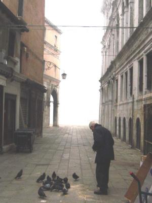 Feeding pigeons 2