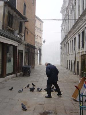 Feeding pigeons 3