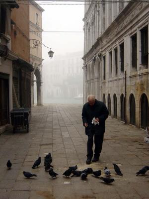 Feeding pigeons