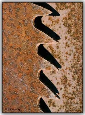 u37/jarrell/medium/24070133.SawTeeth.jpg