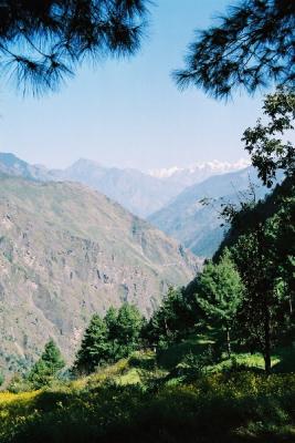 u37/jbagne/medium/24248826.img022.jpg