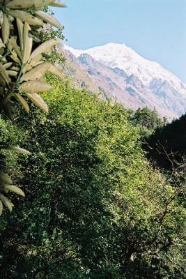 u37/jbagne/medium/24248837.img033.jpg